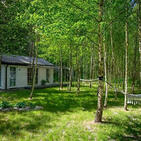 Drewniane Na Splawiu Nad Morzem